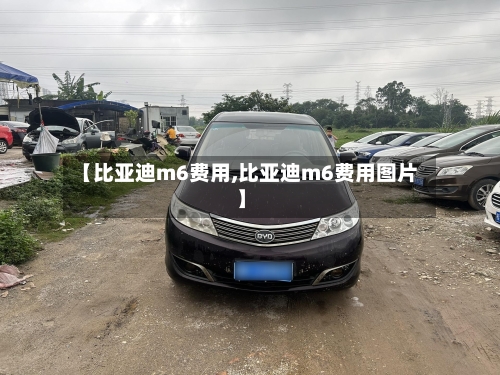 【比亚迪m6费用,比亚迪m6费用图片】