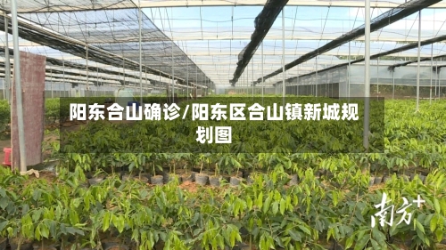 阳东合山确诊/阳东区合山镇新城规划图