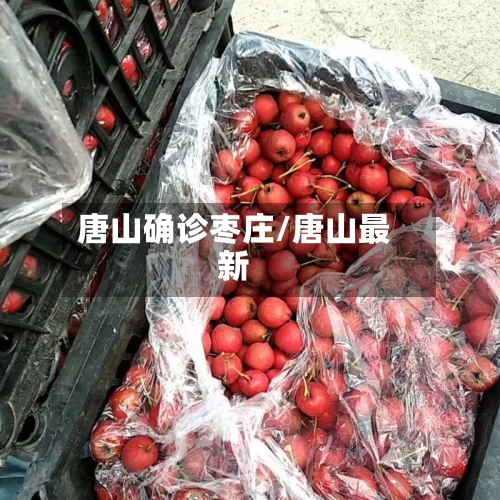 唐山确诊枣庄/唐山最新-第2张图片