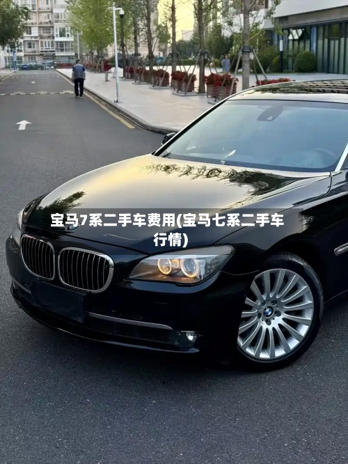 宝马7系二手车费用(宝马七系二手车行情)-第2张图片