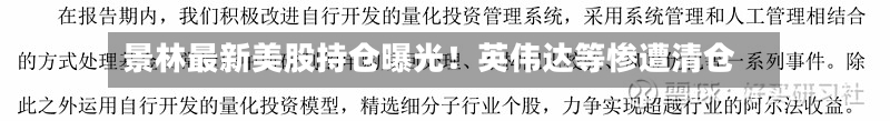 景林最新美股持仓曝光！英伟达等惨遭清仓-第1张图片