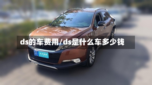 ds的车费用/ds是什么车多少钱-第2张图片