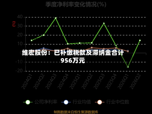 维宏股份：已补缴税款及滞纳金合计956万元