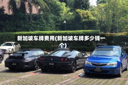 新加坡车牌费用(新加坡车牌多少钱一个)