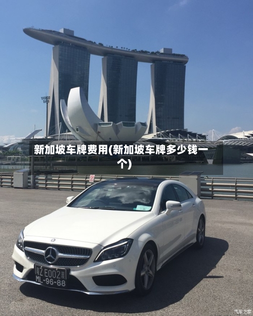 新加坡车牌费用(新加坡车牌多少钱一个)-第2张图片