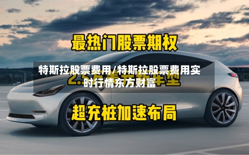 特斯拉股票费用/特斯拉股票费用实时行情东方财富