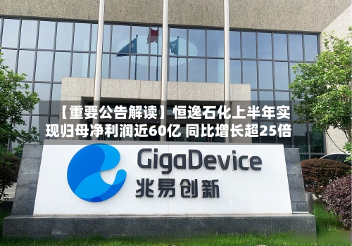 【重要公告解读】恒逸石化上半年实现归母净利润近60亿 同比增长超25倍