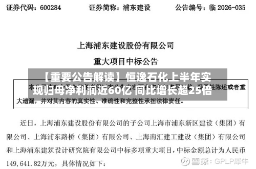 【重要公告解读】恒逸石化上半年实现归母净利润近60亿 同比增长超25倍-第2张图片