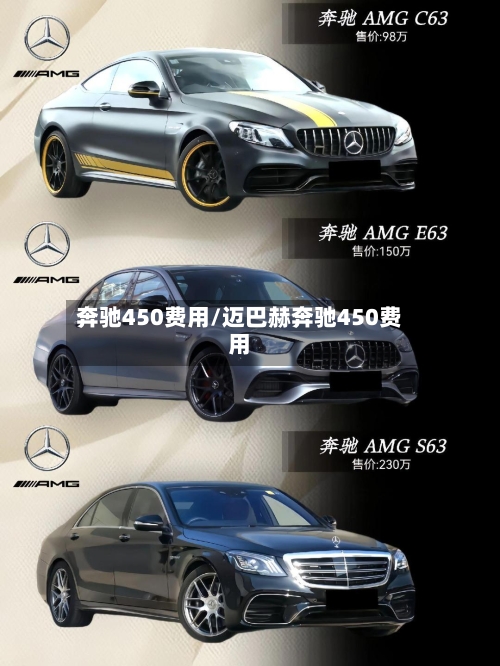 奔驰450费用/迈巴赫奔驰450费用-第2张图片