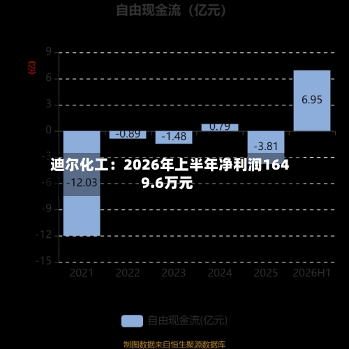 迪尔化工：2026年上半年净利润1649.6万元-第3张图片