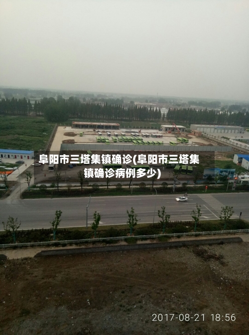 阜阳市三塔集镇确诊(阜阳市三塔集镇确诊病例多少)-第2张图片