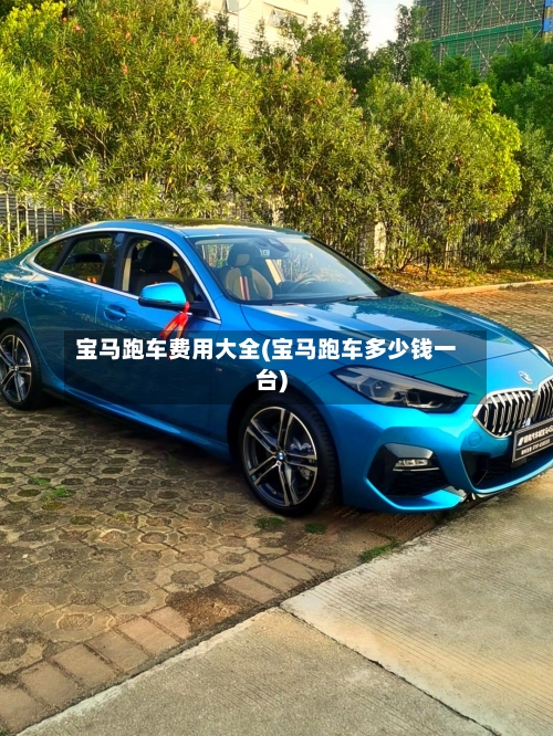 宝马跑车费用大全(宝马跑车多少钱一台)