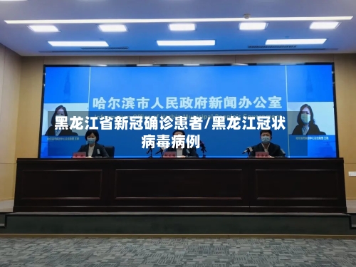 黑龙江省新冠确诊患者/黑龙江冠状病毒病例
