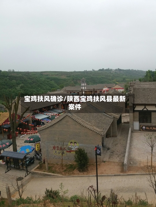 宝鸡扶风确诊/陕西宝鸡扶风县最新案件