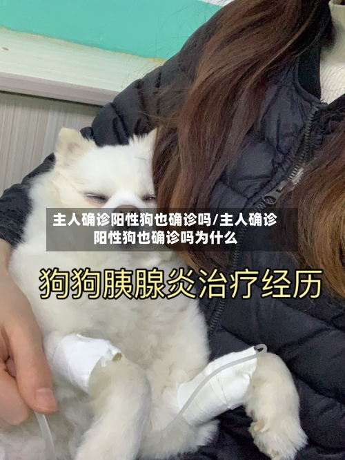 主人确诊阳性狗也确诊吗/主人确诊阳性狗也确诊吗为什么-第2张图片
