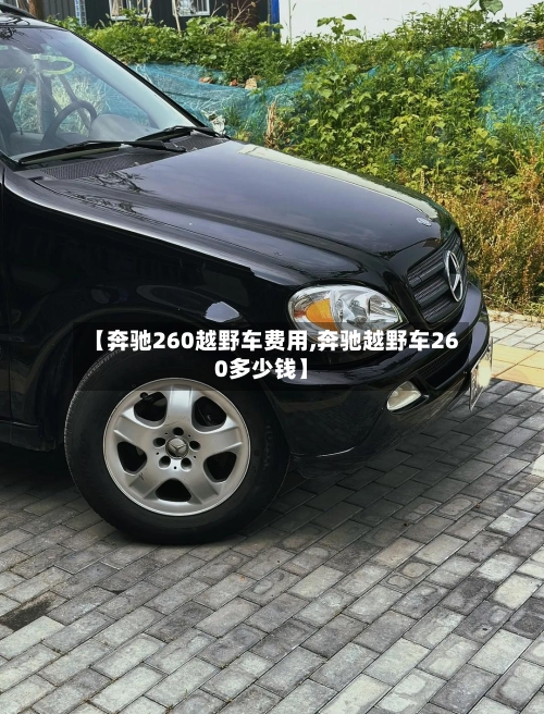 【奔驰260越野车费用,奔驰越野车260多少钱】-第2张图片