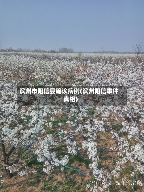 滨州市阳信县确诊病例(滨州阳信事件真相)