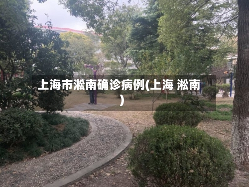 上海市淞南确诊病例(上海 淞南)