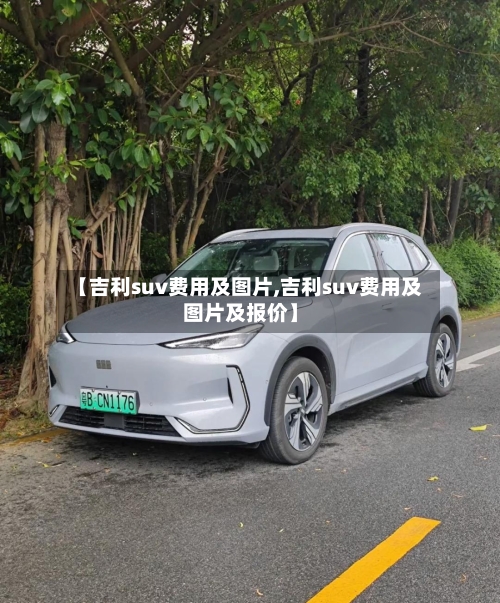 【吉利suv费用及图片,吉利suv费用及图片及报价】-第3张图片