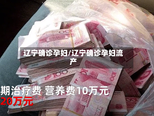 辽宁确诊孕妇/辽宁确诊孕妇流产