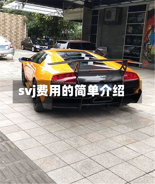 svj费用的简单介绍-第2张图片