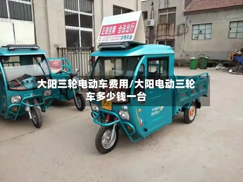 大阳三轮电动车费用/大阳电动三轮车多少钱一台