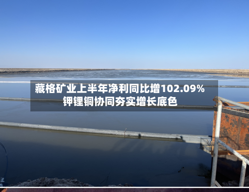 藏格矿业上半年净利同比增102.09% 钾锂铜协同夯实增长底色-第2张图片