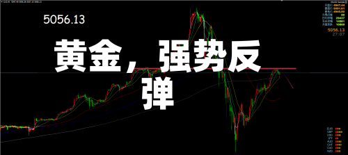 黄金，强势反弹-第2张图片